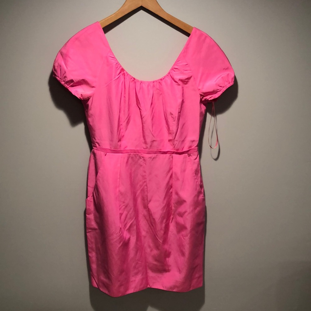 J.Crew Dress